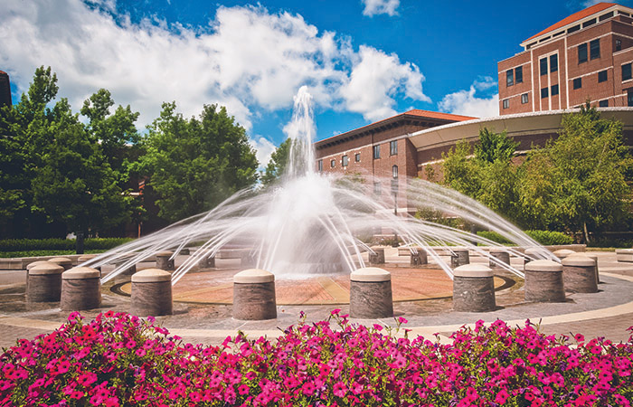 Loeb fountain