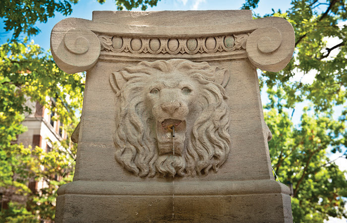 the lion fountain
