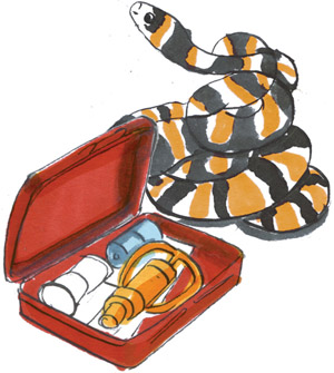 illustration of a snake and med kit