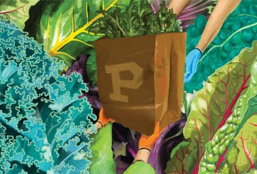 illustration of a brown grocery bag with a purdue p on it